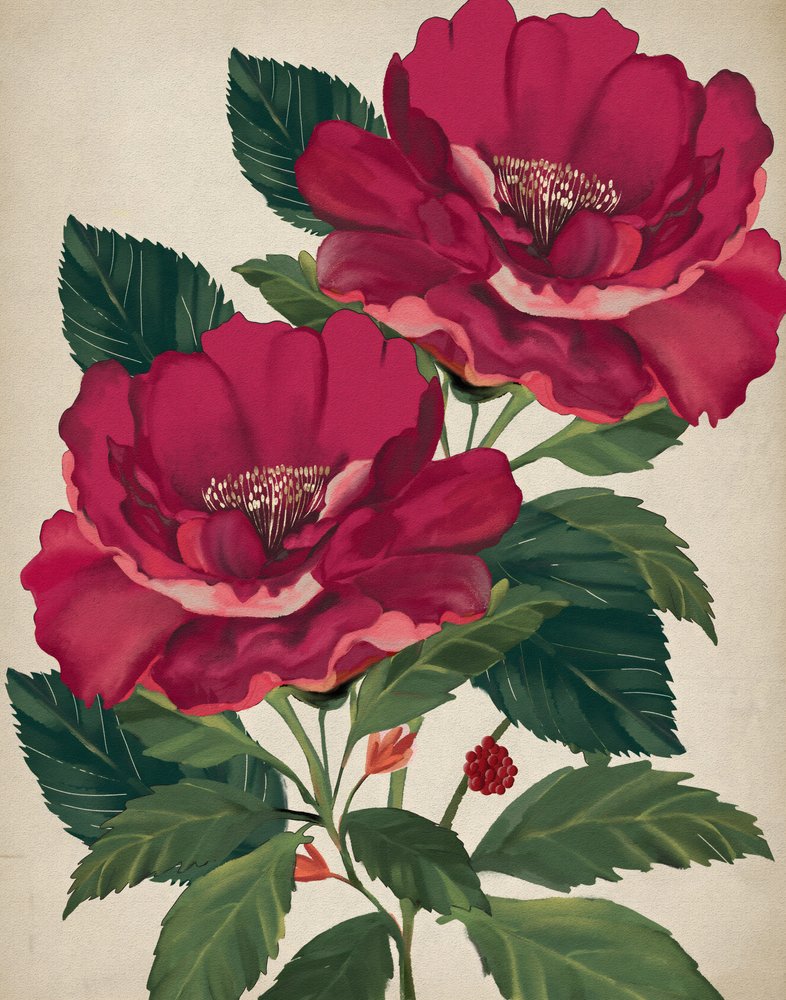 Rose der Vorsehung von Josie George