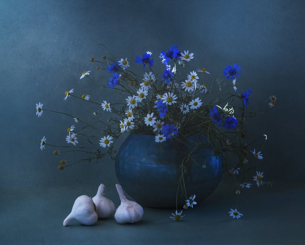 Blaue Gänseblümchen Knoblauch Stillleben von Judy Tseng