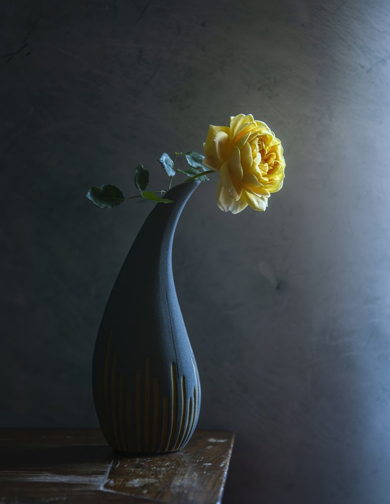 Stimmungsvolle gelbe Rose von Judy Tseng