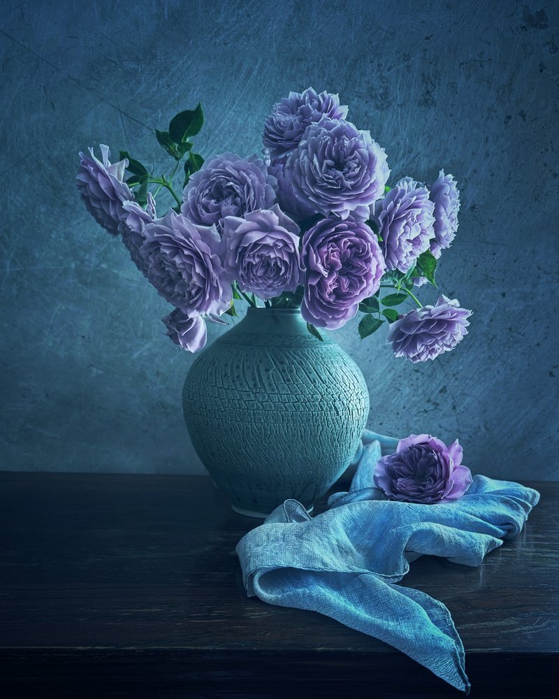Ruhige Lila Rosen von Judy Tseng