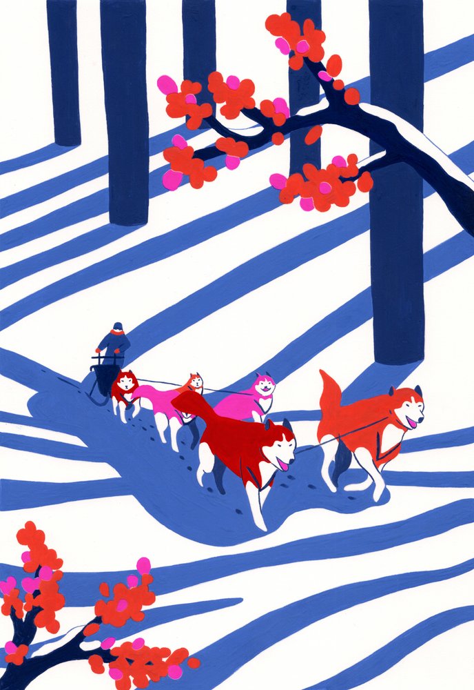 Husky-Schlittenabenteuer von Julie Lesouef