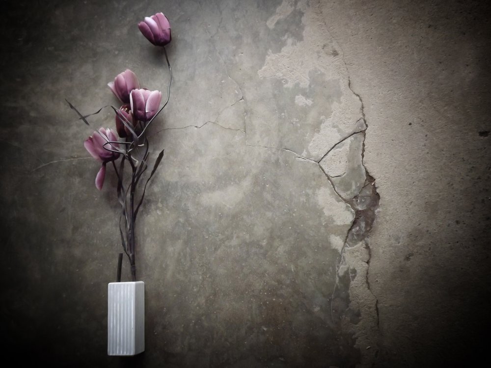 Stimmungsvolle Lila Blumen Beton von Kahar Lagaa