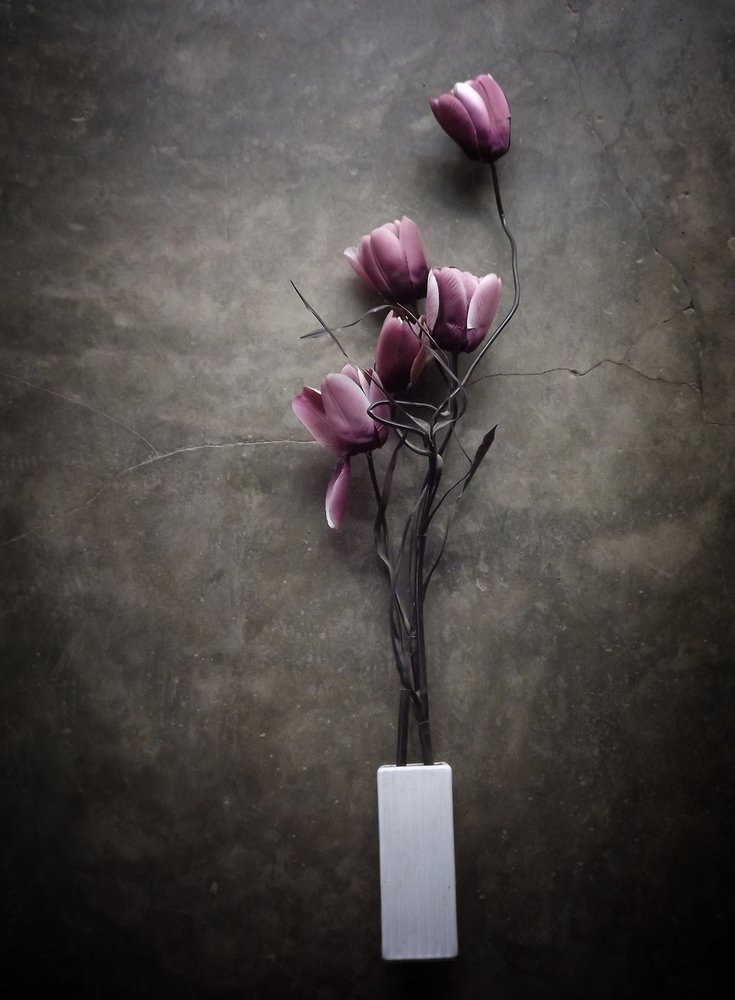 Stimmungsvolle Lila Tulpen von Kahar Lagaa