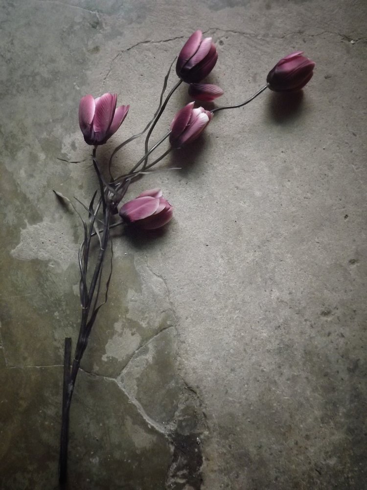 Lila Tulpen auf Beton von Kahar Lagaa