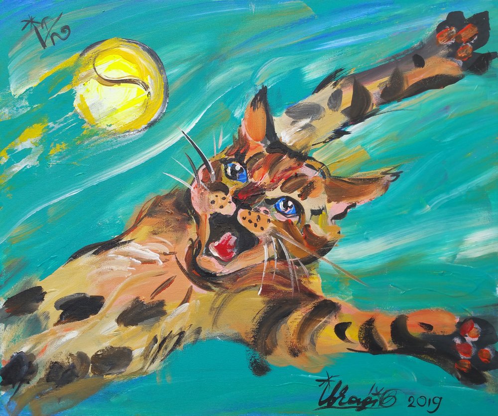 Fliegende Bengal-Katze von Kanat Ibragimov