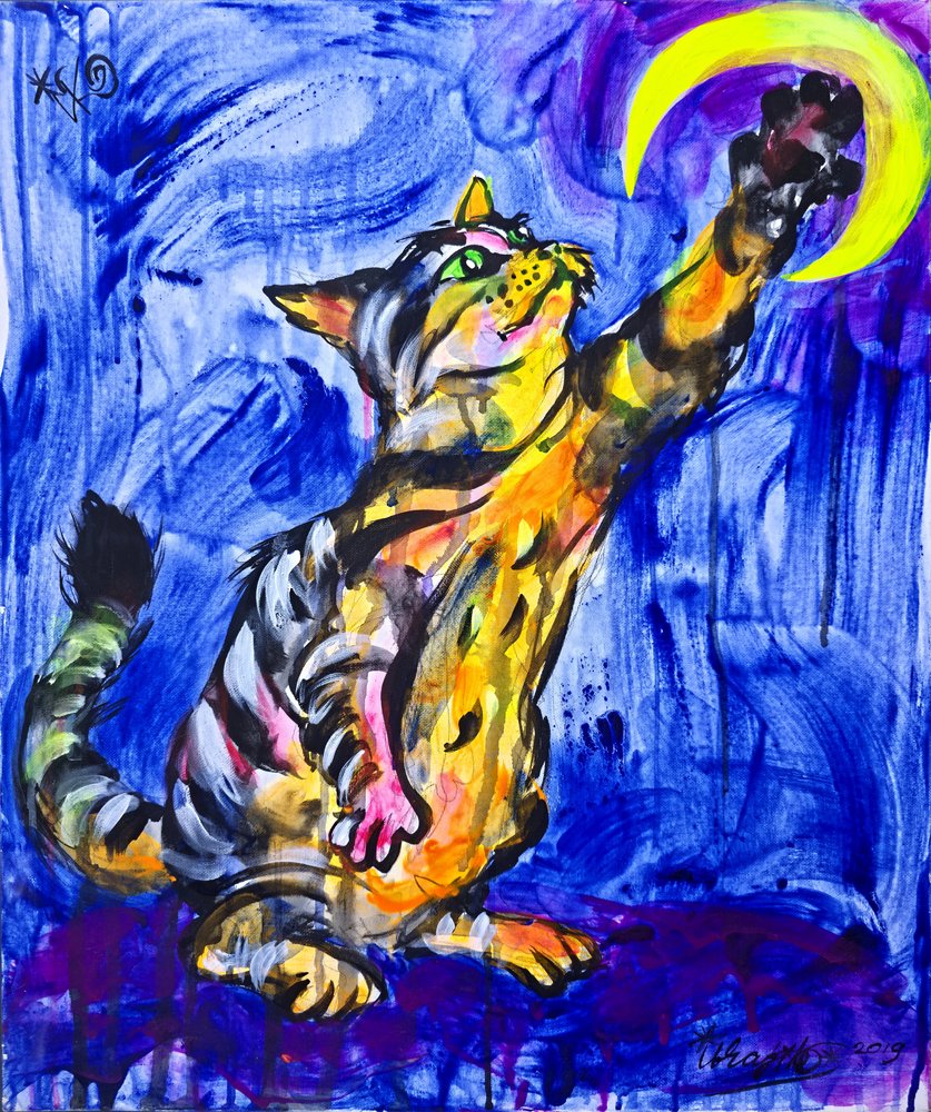 Verspielte Katzenmond von Kanat Ibragimov