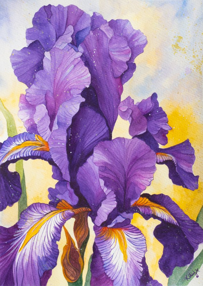Lebendige violette Iris von Kay Shanley
