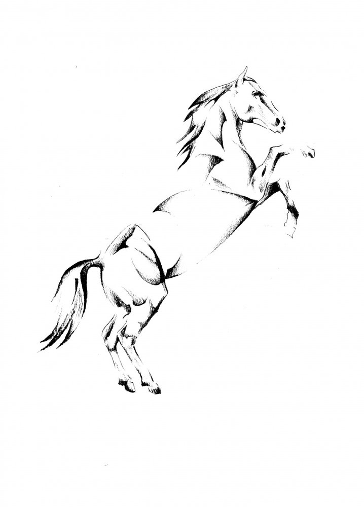 Majestätisches steigendes Pferd von Kulik