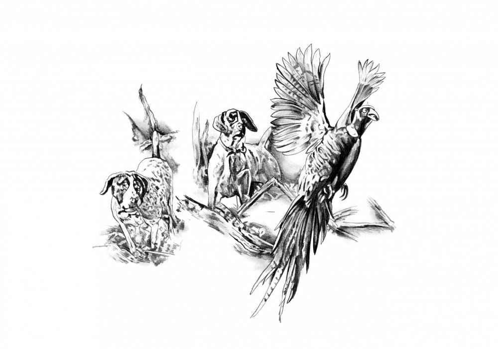 Zeiger und Wildvogel Flug von Kulik