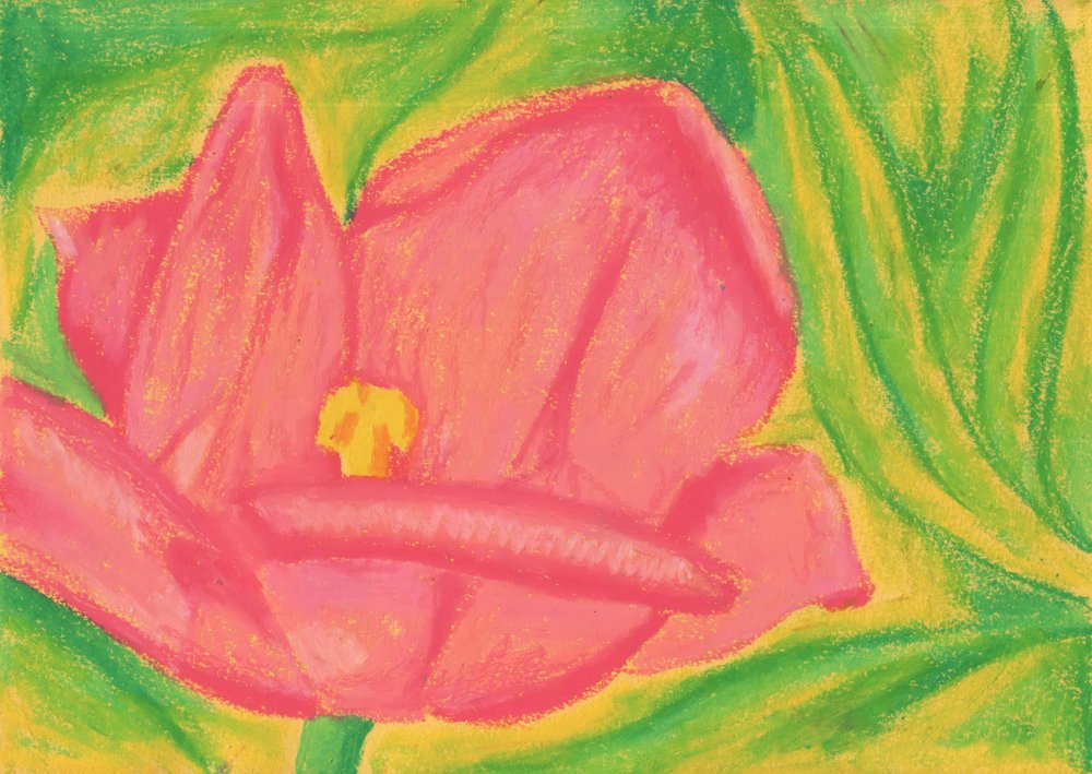 Lebhafte rosa Blüte von Kulik