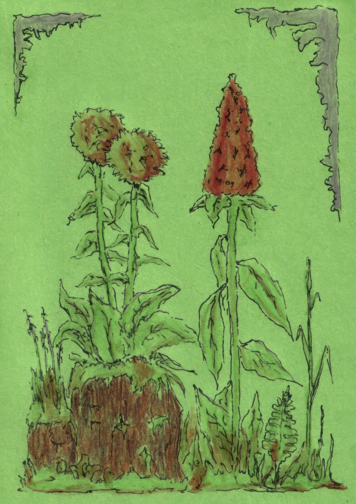 Verspielte Gartenpflanzen von Kulik