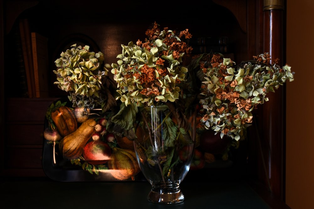 Herbstliche getrocknete Hortensien von Laura Malaterra