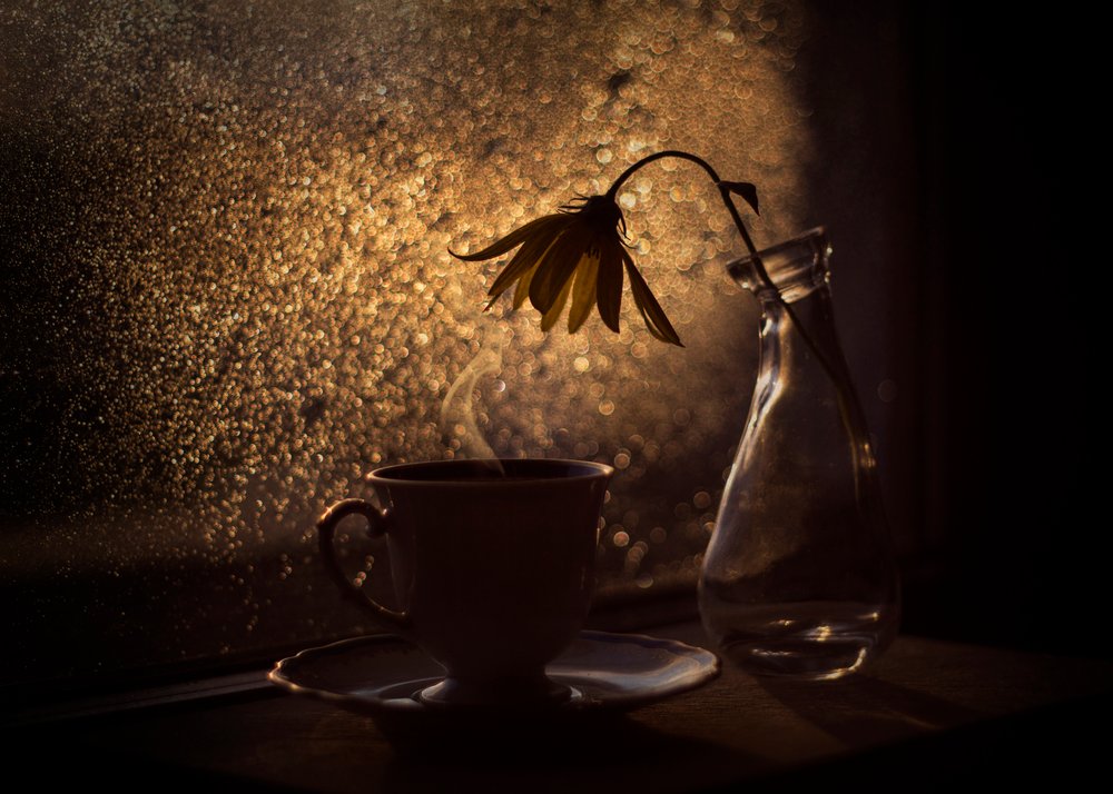 Goldenes Licht Kaffee Blume von Lenka