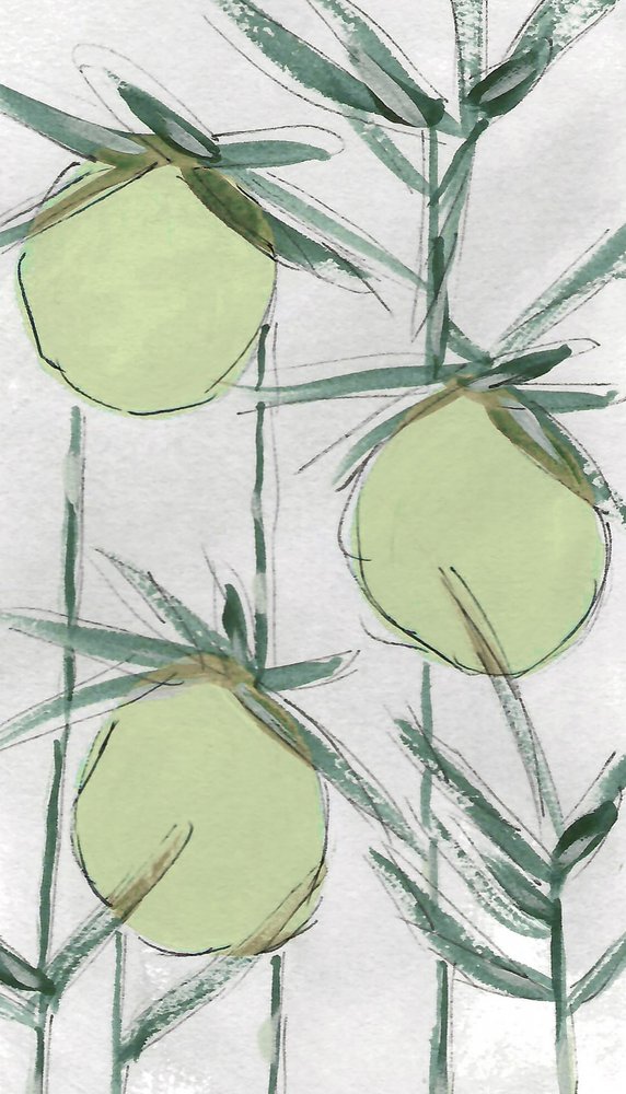 Frische grüne Botanicals von Lori Ann Folz