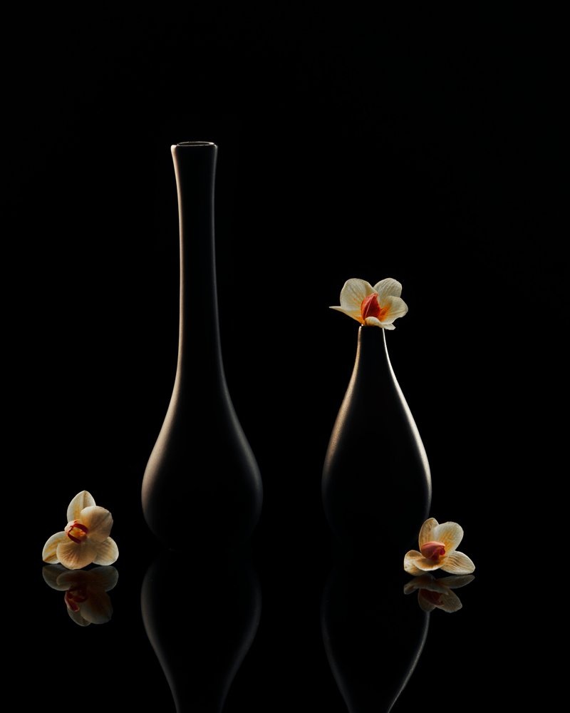 Elegante Orchideenreflexionen von Louie Luo