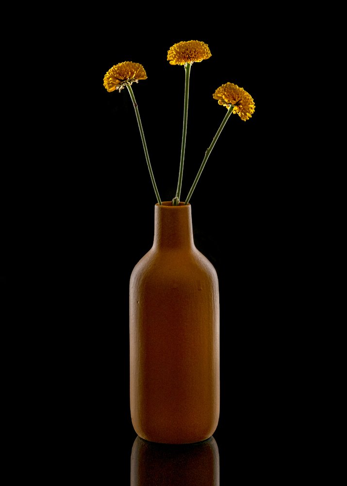 Warme Blumen Braune Vase von Louie Luo