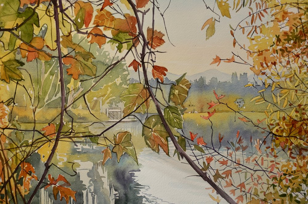 Herbstblätter über Wasser von Luisa Millicent