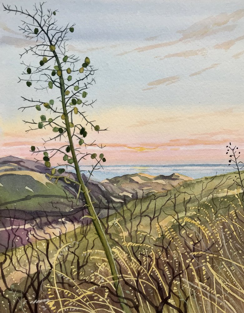 Küstenpflanzen Sonnenuntergangsansicht von Luisa Millicent