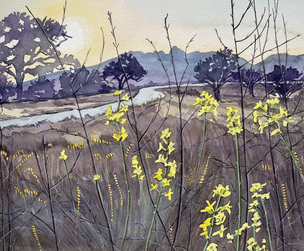 Goldene Stunde Blüten von Luisa Millicent