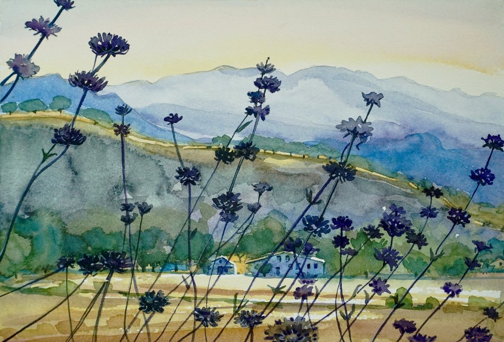 Lavendel Bergblick von Luisa Millicent