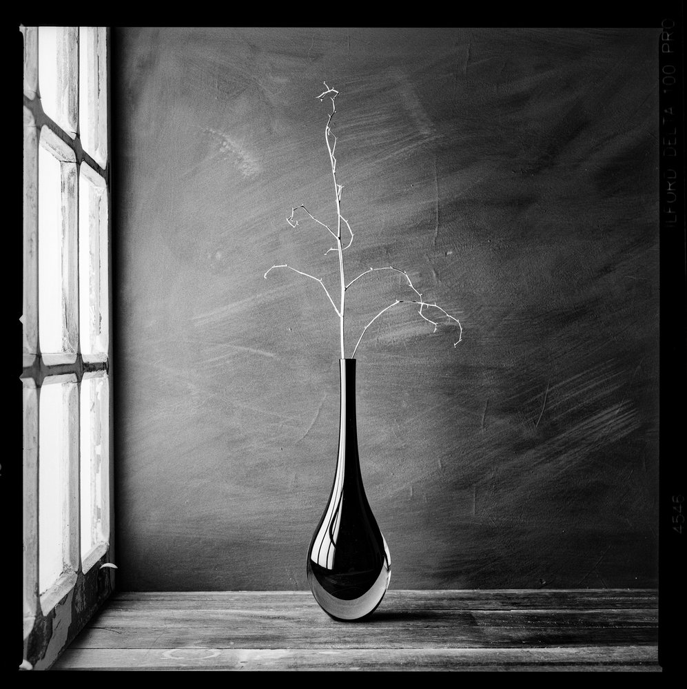 Minimalistische Zweigvase von Luiz Laercio