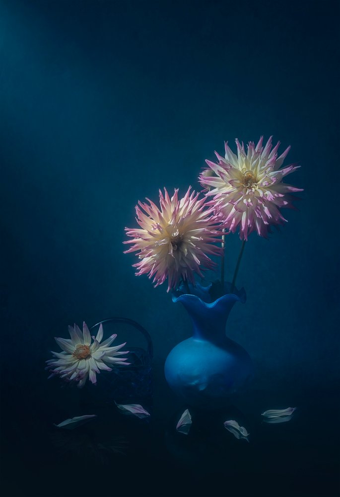 Dahlien in blauer Vase von Lydia Jacobs