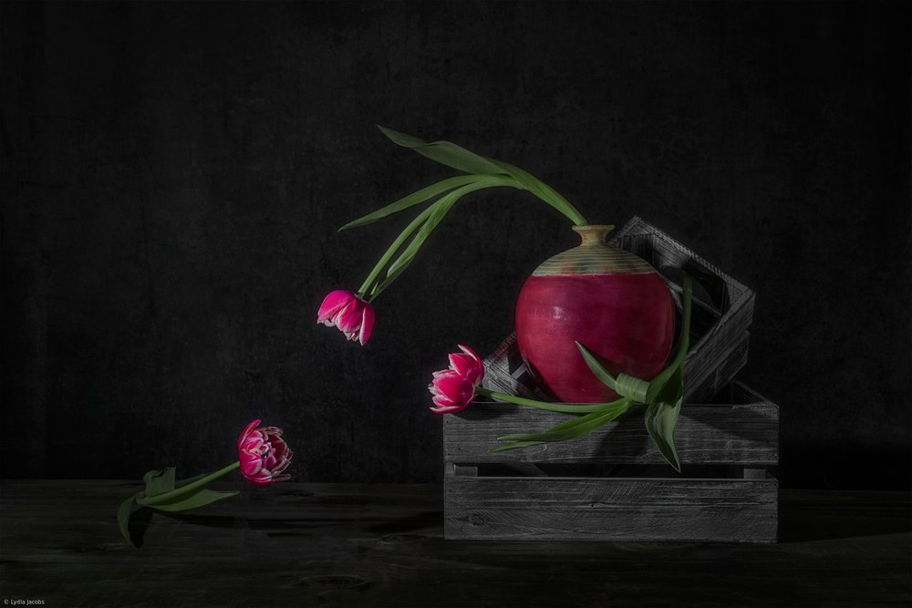 Dunkle Tulpen und Radieschen von Lydia Jacobs