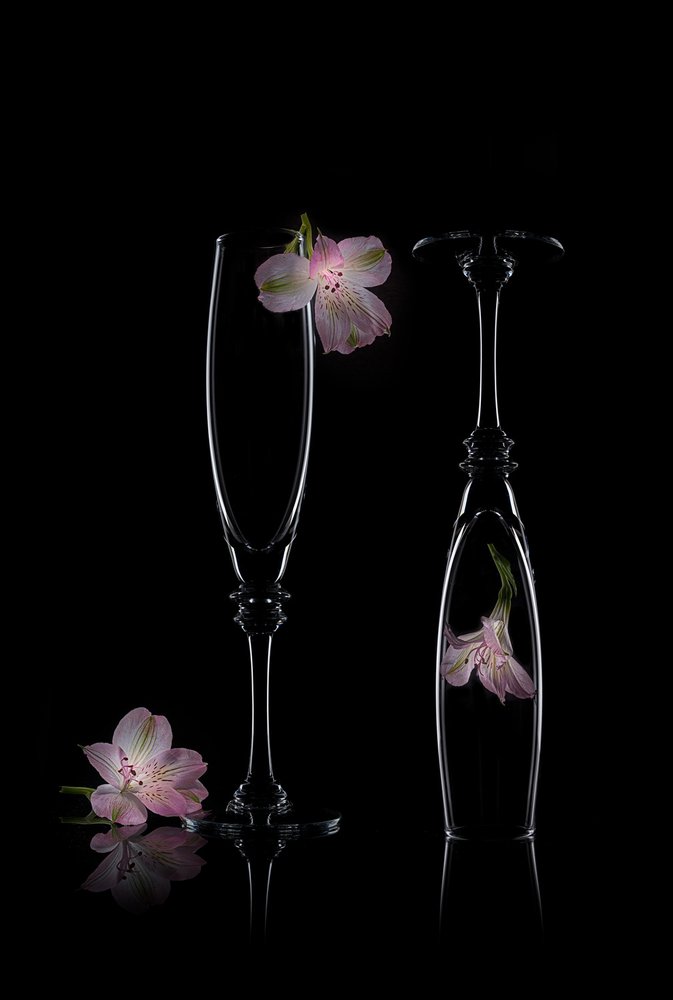 Zarte Blumen-Eleganz von Lydia Jacobs