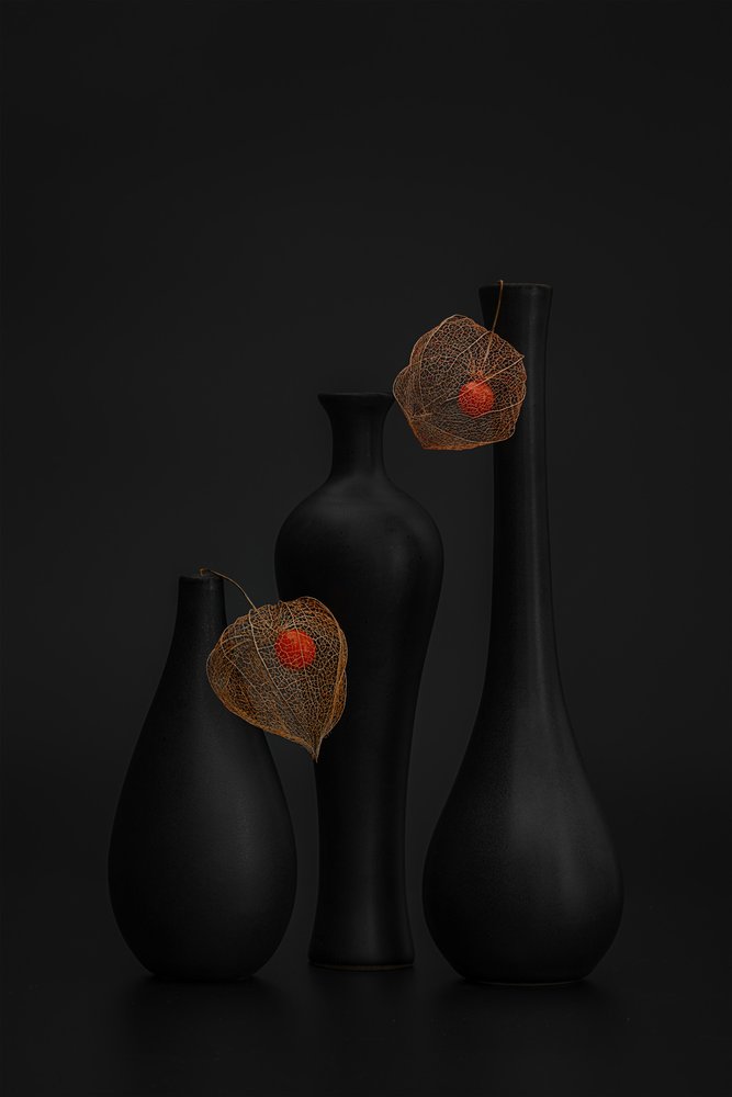 Elegantes schwarzes Physalis-Stillleben von Lydia Jacobs