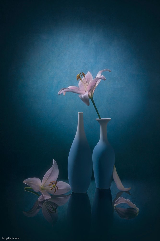 Elegante blaue Lilien von Lydia Jacobs