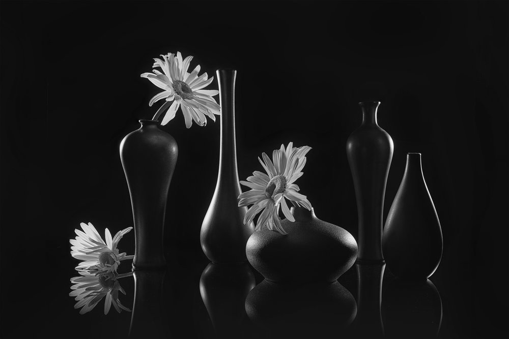Elegantes Gänseblümchen Stillleben von Lydia Jacobs