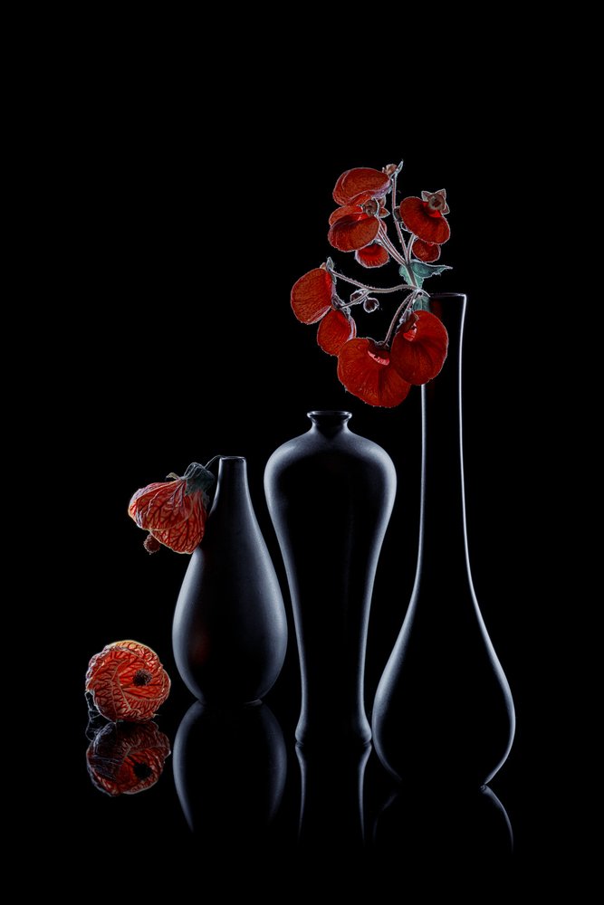 Elegante dunkle Flora von Lydia Jacobs