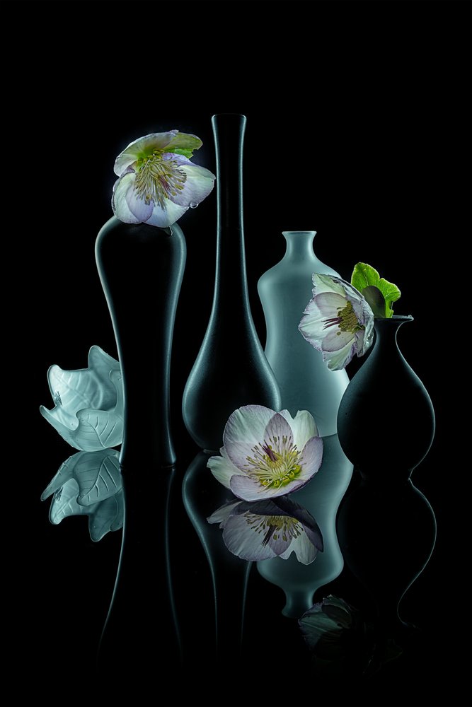 Elegantes Blumenleuchten von Lydia Jacobs