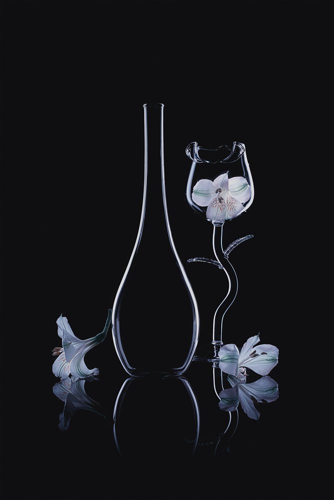 Elegante Glas-Orchideen von Lydia Jacobs