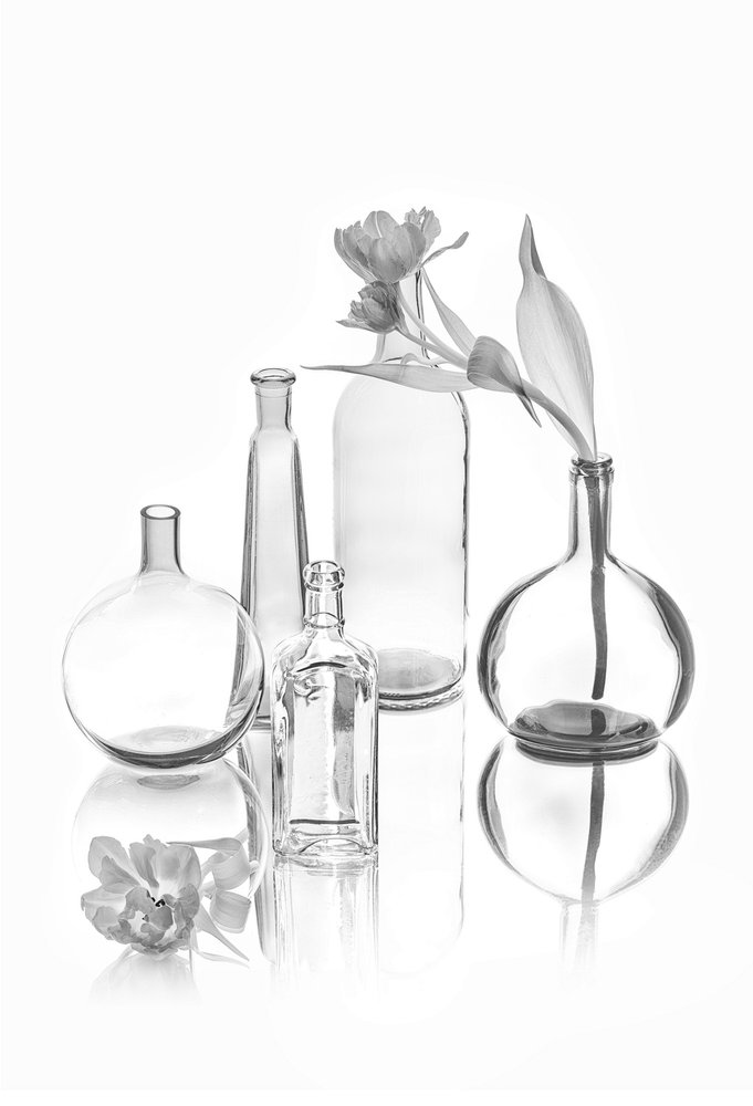 Elegante Glastulpen von Lydia Jacobs