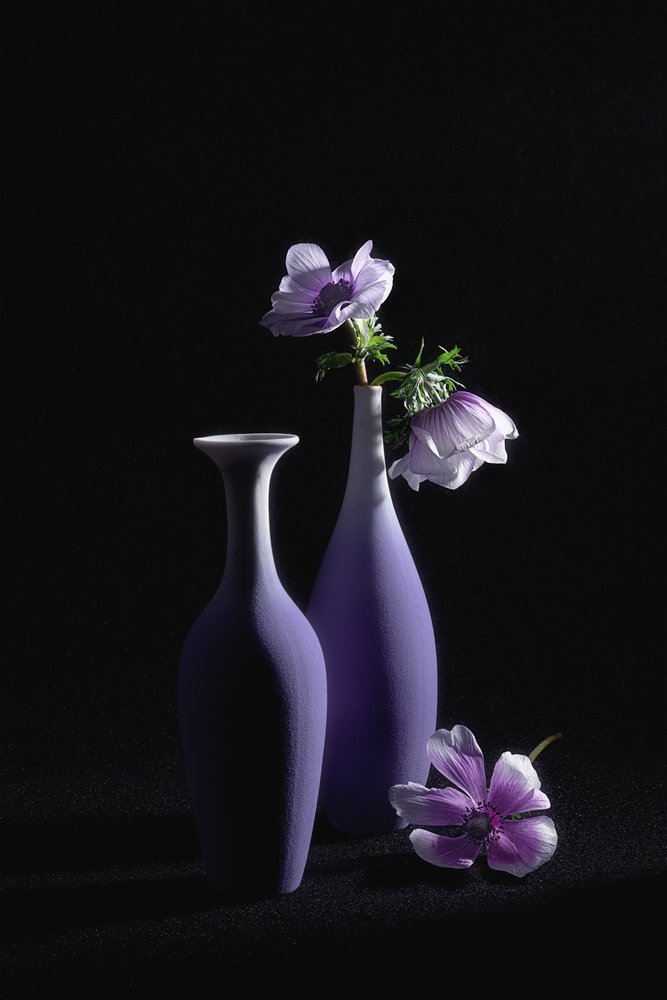 Elegante violette Anemonen von Lydia Jacobs