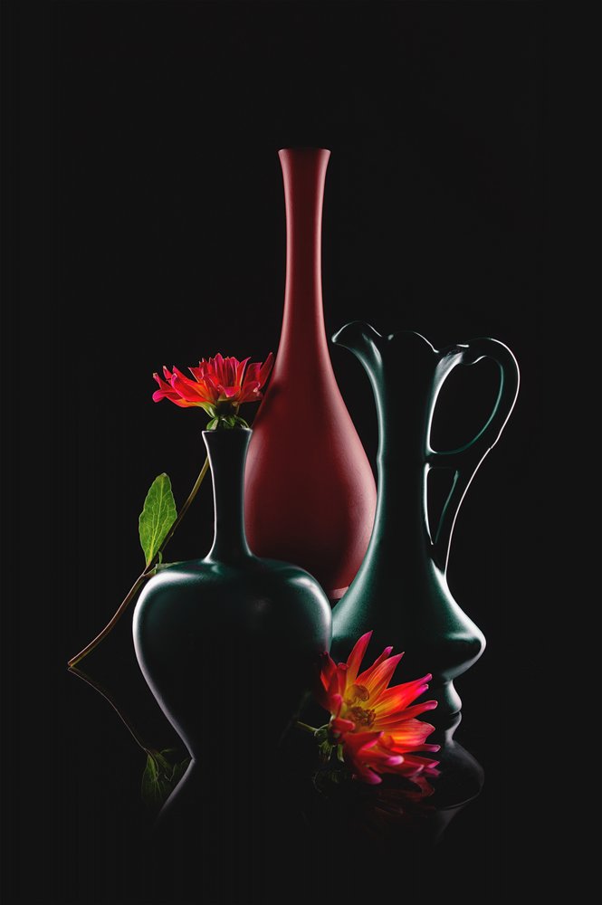 Elegante Vasenblüte von Lydia Jacobs