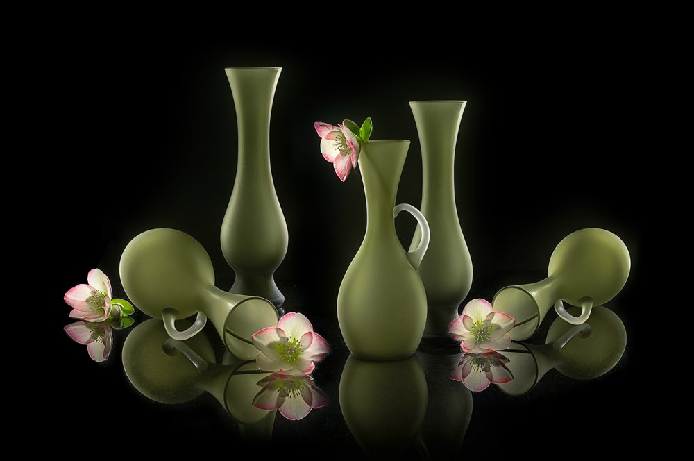 Elegante Vasen und Blüten von Lydia Jacobs
