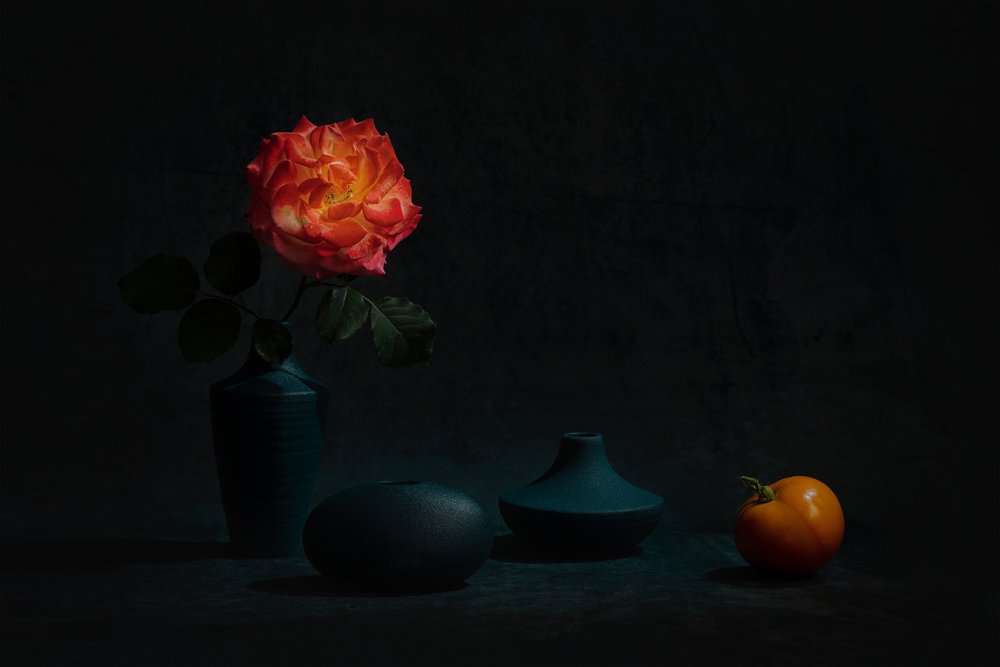 Leuchtende orangefarbene Rose von Lydia Jacobs