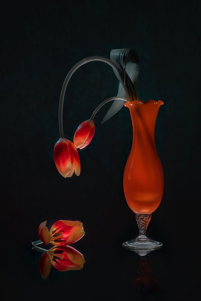 Leuchtende Tulpen Stillleben von Lydia Jacobs