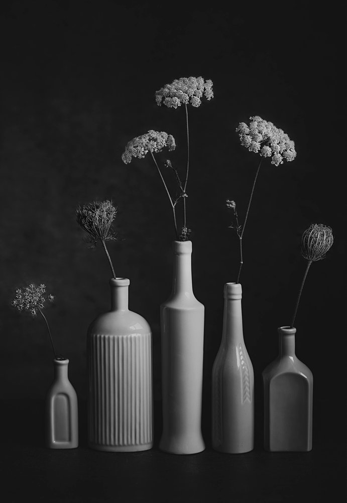 Monochromes botanisches Stillleben von Lydia Jacobs