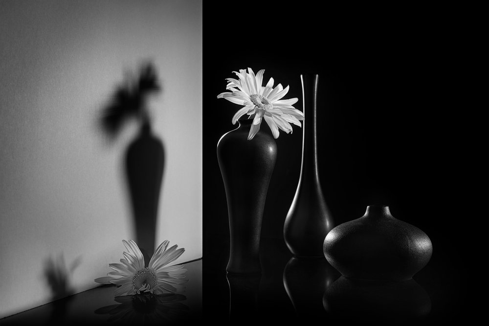 Monochromes Duales Blumenmotiv von Lydia Jacobs