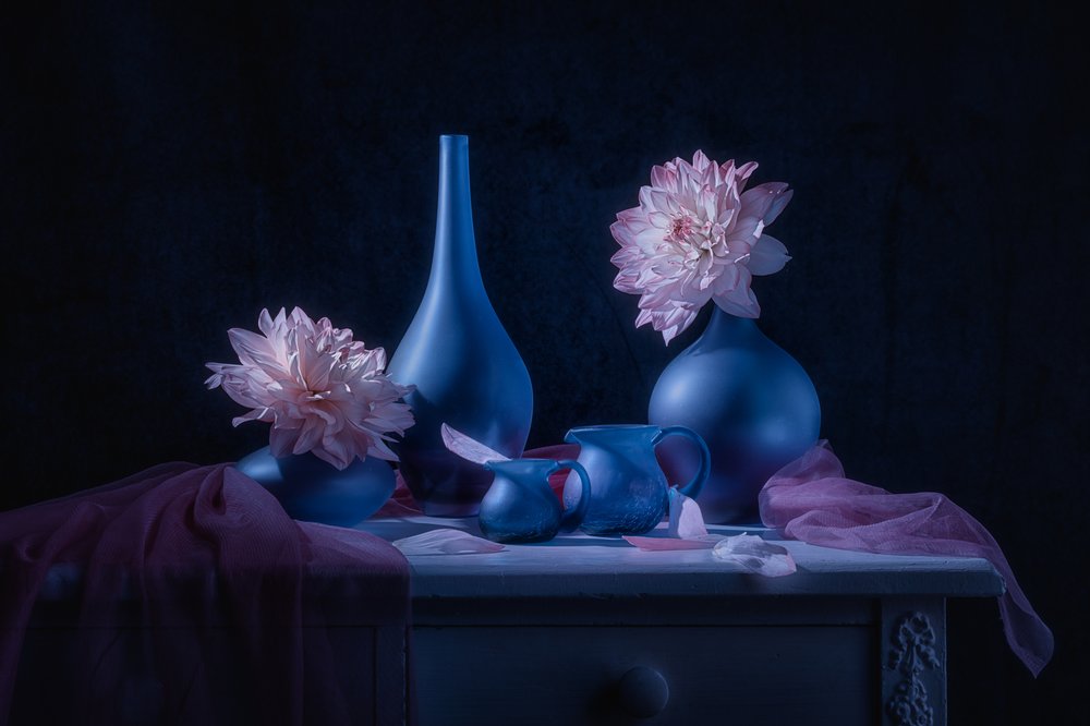 Stimmungsvolle Blaue Dahlien von Lydia Jacobs