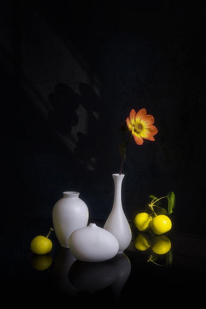 Stimmungsvolle Blume und Frucht von Lydia Jacobs