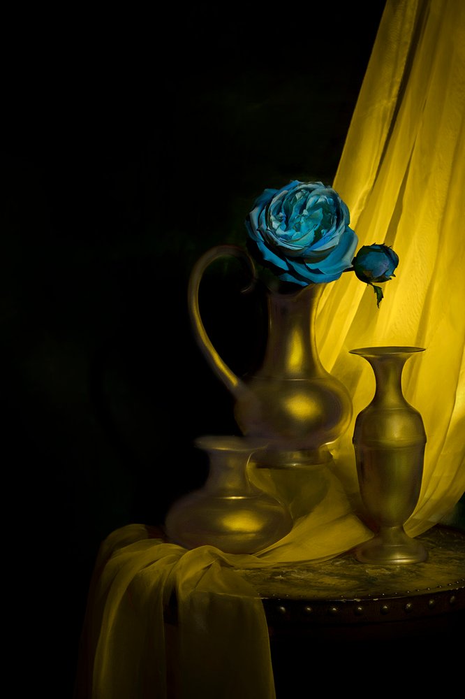 Opulentes blaues Rosen-Stillleben von Lydia Jacobs