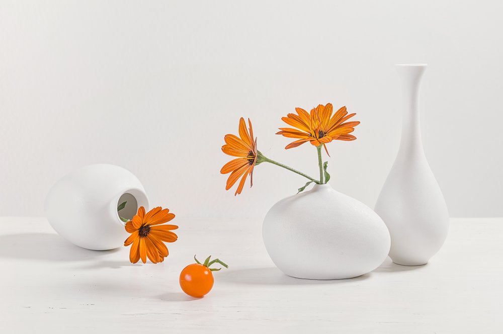 Orange Blumen Modernes Stillleben von Lydia Jacobs