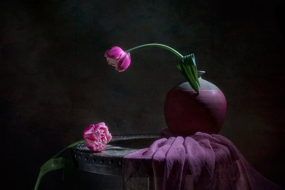 Rosa Tulpen Stillleben von Lydia Jacobs