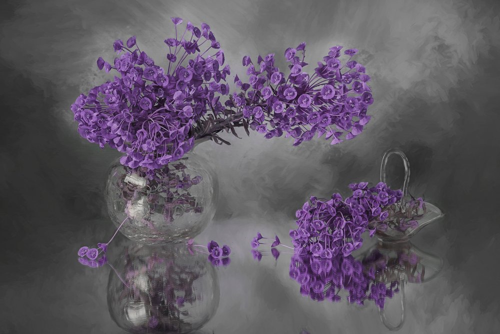 Lila Blüten und Spiegelung von Lydia Jacobs