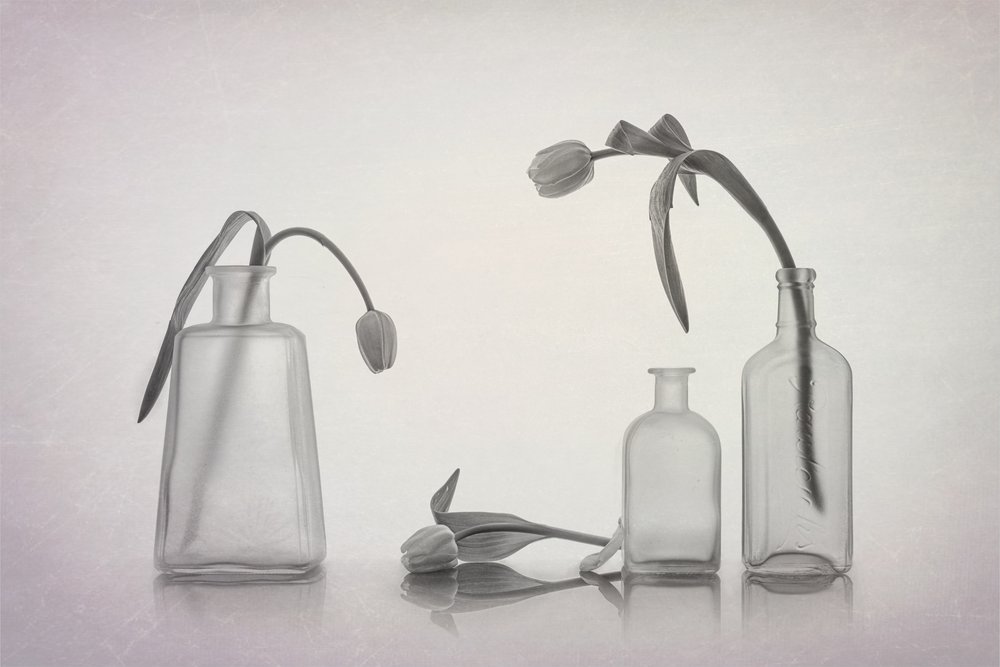 Ruhiges Tulpen Stillleben von Lydia Jacobs