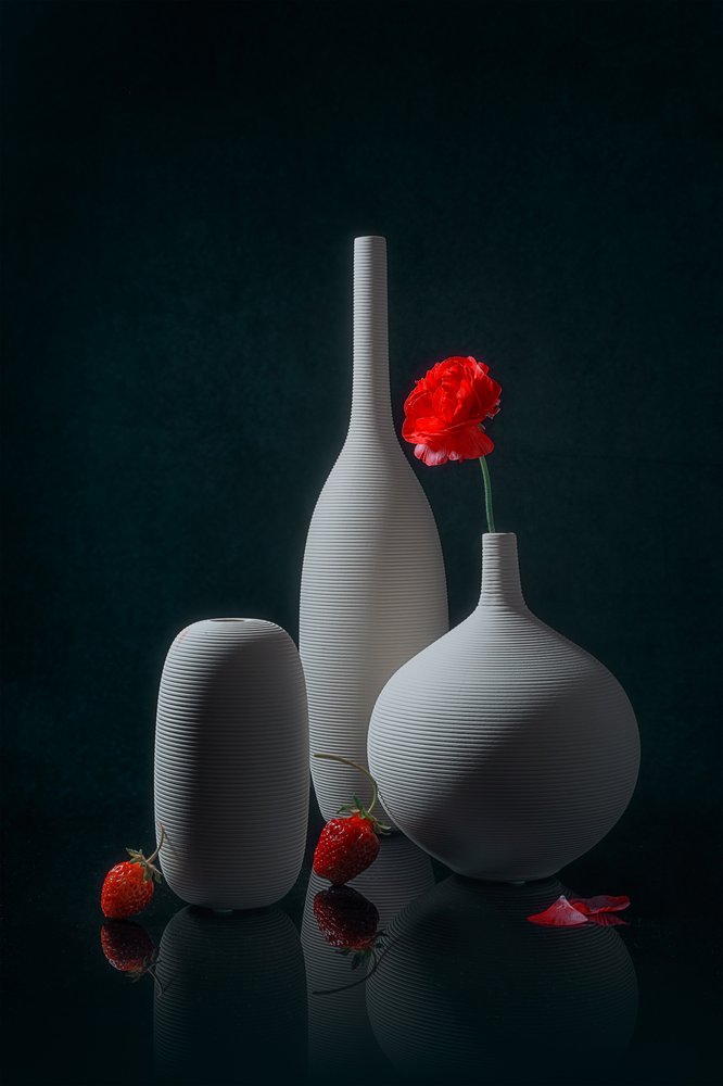 Roter Mohn und Weiße Vasen von Lydia Jacobs